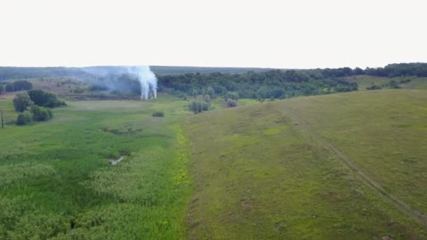 Flygbilder från Drone av brinnande grönt fält, vild eld i naturen landskap, flygning genom en rök — Stockvideo