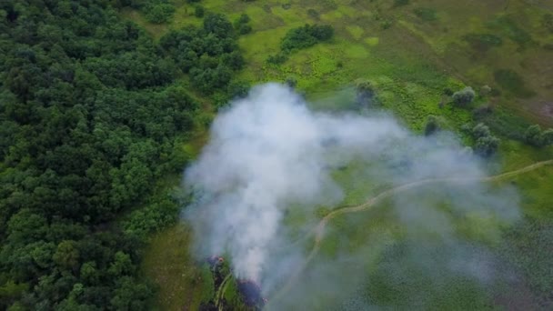 Images aériennes d'un drone brûlant un champ vert, un feu de forêt dans un paysage naturel, Vol à travers une fumée 