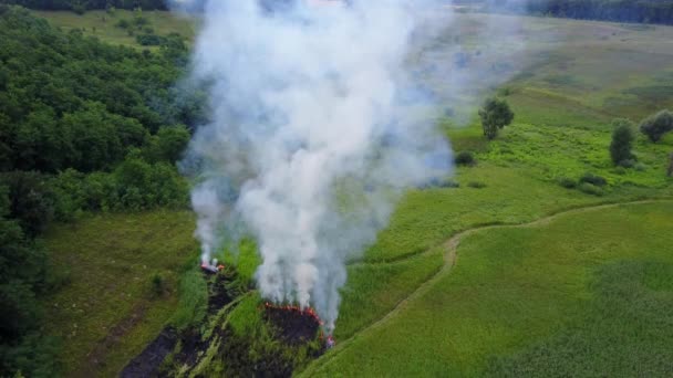 Flygbilder från Drone av brinnande grönt fält, vild eld i naturen landskap, flygning genom en rök — Stockvideo