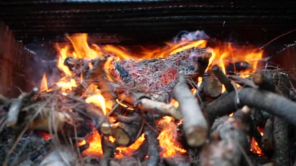 Close-up vreugdevuur vlammen van Camping Fire, Slow Motion brandende brandhout. Brand vlammen bij kampvuur. — Stockvideo