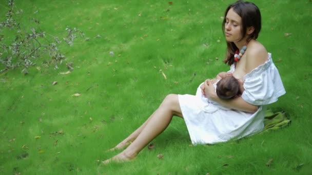 Молодая нежная красивая мать в белом платье грудного вскармливания своего новорожденного ребенка на открытом воздухе в парке. Женская мама кормит грудью траву — стоковое видео