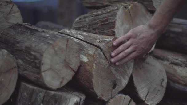 Mans hand feels the wood structure of oak firewood blocks stored for winter in a stack.