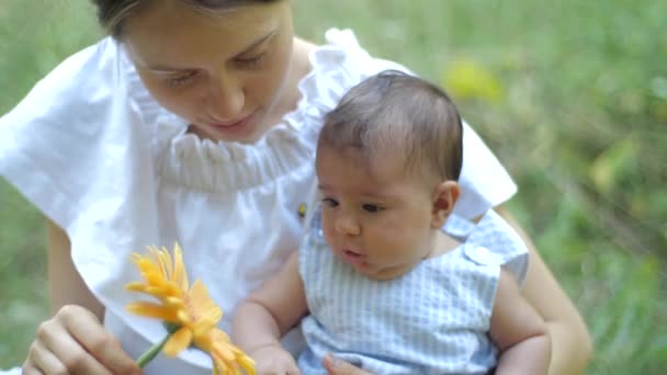 Мати з нею новонароджена дочка на зеленій траві в парку. Щаслива молода мати і дитина грають з жовтою квіткою. Красива сім'я в весняний парк насолоджуючись природою. — стокове відео