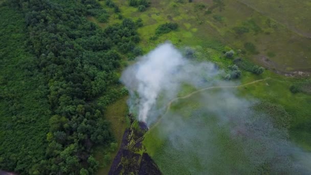 Εναέρια πλάνα από τηλεκατευθυνόμενο πράσινο χωράφι, πυρκαγιά στο τοπίο της φύσης, πτήση πάνω από ένα καπνό — Αρχείο Βίντεο