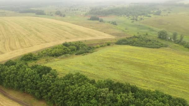 Sonbaharda hasat sonra çizgili buğday tarlaları üzerinde uçuş. Sonbahar kırsal manzara havadan görünümü. — Stok video