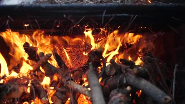 Fiamme di fuoco nel fuoco da campo. Rallenta la combustione di legna e fumo alla griglia. cucinare un pranzo o una cena deliziosi in una pentola sopra un fuoco aperto in un'escursione nella natura — Video Stock