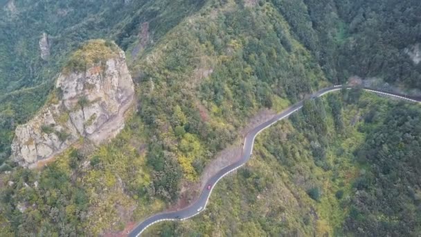 テネリフェ島、スペインの蛇行道路の航空写真。アナガ国立公園の山道で車が動く. — ストック動画