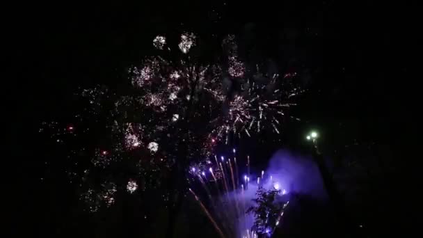 Barevná zábavní pyrotechnika v parku s siluety stromů v popředí. — Stock video