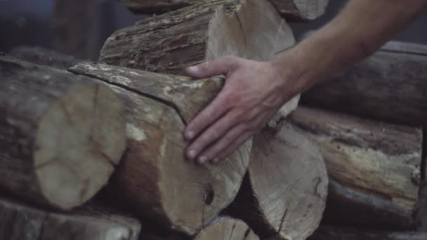 Mans touche à la main les blocs de bois de chauffage de chêne stockés pour l'hiver. Mans main sent la structure en bois de blocs de bois de chauffage de chêne dans une pile . — Video