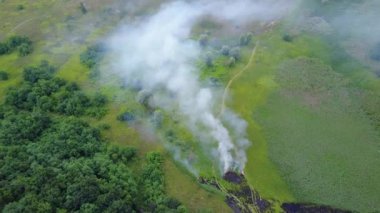 Bir ormanın yanında yanan yeşil çimenlerin drone'undan havadan çekilen görüntüler, yeşil ormana yaklaşan yangın, duman üzerinde uçuş