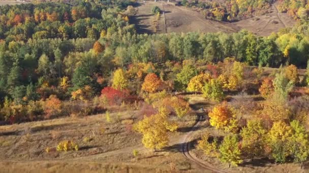 Drone view of autumn forest in mountains illuminated with sunset light. Multicolor tree leaves in autumn forest. Dirt road on a hill. — Stock Video