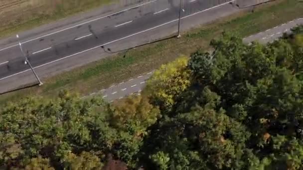Dynamic Aerial tracking girato da sopra alberi autunnali di una persona in bicicletta lungo una strada nei pressi di una foresta. Auto che passano . — Video Stock