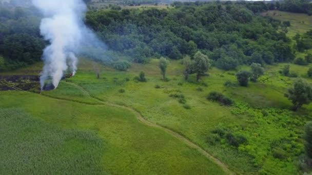 Imagens aéreas de um drone de um incêndio a aproximar-se da floresta verde. Voo através de uma fumaça sobre campo verde ardente, fogo selvagem na paisagem da natureza , — Vídeo de Stock