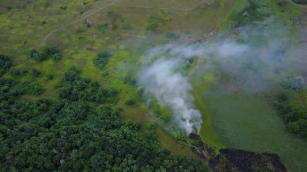 Luftaufnahmen von einer Drohne, die ein Feuer zeigt, das sich dem grünen Wald nähert. Flucht durch Rauch über brennendes grünes Feld, Waldbrand in Naturlandschaft, — Stockvideo