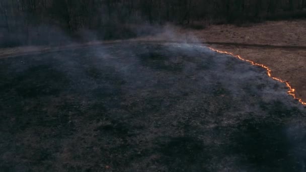 Yanan bir tarlanın üzerinden geçerek. Destansı video çekimi, duman, ateşin yayılması. Ormanların tahrip edilmesi, kuru otların yakılması. İklim değişikliği, ekoloji, küresel ısınma. Kontrolsüz kırsal yangın, orman. — Stok video