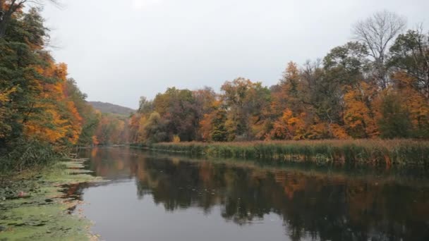 Vista média de um belo pequeno rio estreito com juncos em um fundo de folhas amarelas no outono durante o dia. Lindo lago pantanoso no campo. Lagoa acolhedora no país para relaxamento . — Vídeo de Stock