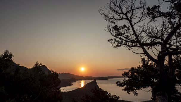 Fantastiskt landskap skott av tiden förflutit gryningen solen över bukten, stenar och Svarta havet i Krim, Nya Världen, vy från träd. Solen går upp på en panoramabild. Krim natur på morgonen. — Stockvideo