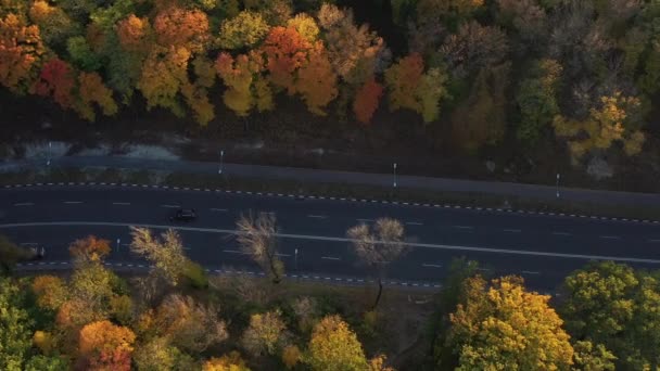 車のための滑らかで高品質の田舎道の美しいトップビュー。暖かい晴れた日に多くのカラフルな木と秋の森の空中ビュー、トップビュー。秋の活気ある性質は刺激的です. — ストック動画