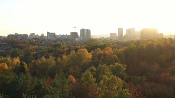 Foto aérea de un bosque campestre soleado con árboles coloridos y hojas en cámara lenta. Buen clima cálido para recoger setas en el bosque de otoño. Muchos árboles hermosos desde una altura, vista superior . — Vídeos de Stock