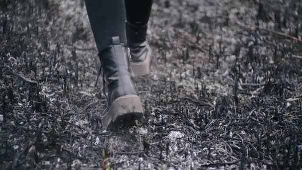 Nogi czarnych stylowych butów z wysokimi podeszwami i ciemnymi legginsami spacerują po spalonej trawie polnej po poważnym pożarze w słoneczną pogodę, strzelając od tyłu w zwolnionym tempie. Człowiek kroczy popiołem ziemi. — Wideo stockowe