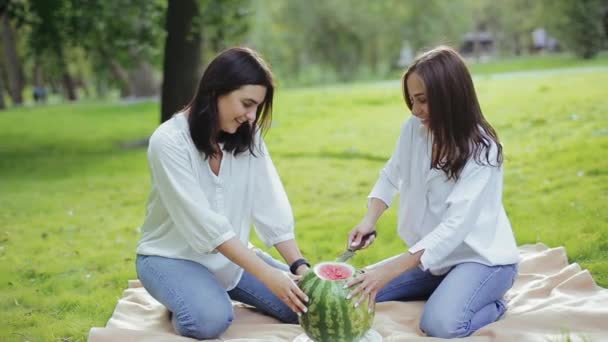 Par de meninas felizes e alegres cortar melancia em camisas brancas e jeans rindo e sorrindo de descanso confortável na natureza no parque, sentado na grama. Lazer ativo de duas amigas ao ar livre — Vídeo de Stock