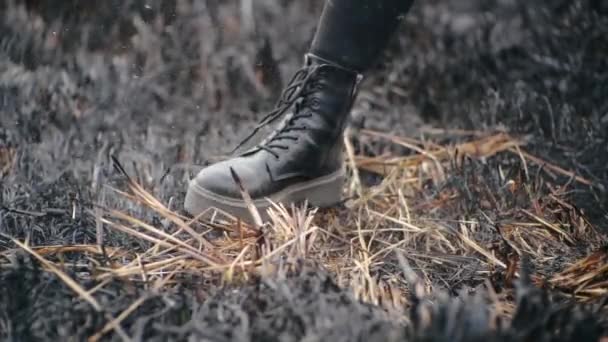 Πόδια ανθρώπου με μαύρα μοντέρνα παπούτσια με ψηλές σόλες περπατούν στο καμμένο έδαφος στάχτης ενός έρημου αγρού, πυροβολώντας κοντά στο γρασίδι. Κορίτσι με κολάν και δερμάτινα παπούτσια κλωτσάει το καμμένο γρασίδι. — Αρχείο Βίντεο
