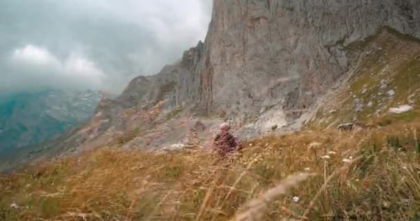 Улыбающаяся туристка, идущая с шестом среди высокой желтой травы под большим горным Фиштом на Кавказе, Адыгея, Россия. Активная женщина путешествует в горах в походе. Концепция туристического похода — стоковое видео