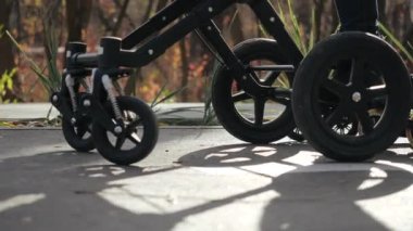 Şehir parkında paten kayan iki mutlu ebeveynin ve bebek arabasındaki bebeklerinin en alttan çekimi. Hafta sonları açık hava etkinliği. Anne ve baba paten kayıyor, bebeklerini bebek arabasında yuvarlıyorlar..