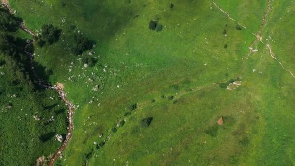 コーカサスの素晴らしい山の谷の空中垂直方向の景色、夏の天気の良い日に厚い草の木の石のパスで覆われています。高さから美しい山の中腹。素晴らしい自然 — ストック動画