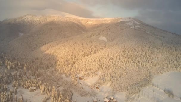 Colpo aereo della natura insolitamente sorprendente dei Carpazi, Ucraina. Alte montagne dei Carpazi con diverse foreste coperte di neve sullo sfondo di una bella alba luminosa . — Video Stock