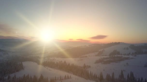 Vista dall'alto delle alte montagne dei Carpazi e alberi che crescono su di loro, coperti di neve. Bellissimo territorio innevato dei Carpazi sullo sfondo del sole e del cielo luminoso senza persone. — Video Stock