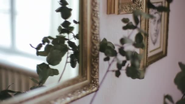 Gros plan de la tige avec des feuilles d'eucalyptus, qui se reflète dans le miroir avec un cadre doré sur le fond. Fleur présentée à la mariée pour le mariage. — Video