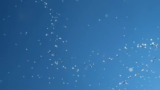 Fliegende Tropfen und Wasserspritzer vor blauem Himmel und strahlender Sonne. Konzept der Sauberkeit, Körperpflege mit einer Feuchtigkeitscreme klare Flüssigkeit. Wasserhaushalt. Gießen aus einem Schlauch. Schluck Frische — Stockvideo