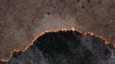 Doğal afet, yangın tarlada kuru otları yakar, doğanın tahribatı. Destansı hava fotoğrafçılığı, gri duman bulutları ve küller. İklim değişikliği ve ekoloji. Kontrolsüz kırsal yangın.