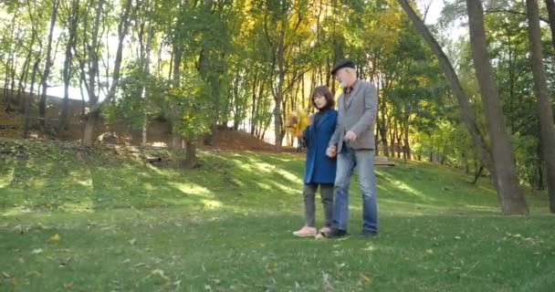 Getrouwd stel gepensioneerden met een penseelachtige blik kijken in de verte, lopen langs het gras van een gezellig herfstpark en houden elkaars hand vast. Romantische wandeling en vrije tijd van een oudere oudere man en vrouw. — Stockvideo