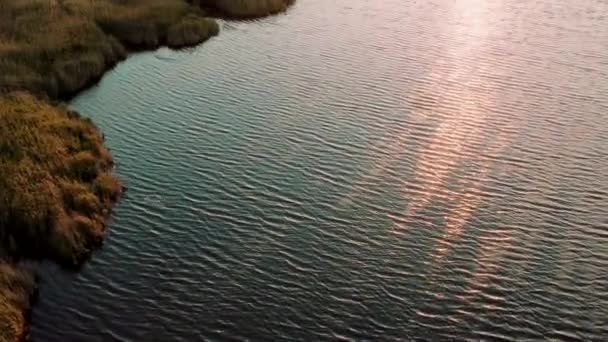 Voler au-dessus de l'eau ondulée des lacs parmi l'herbe près de la mer Noire, héron volant oiseaux flottants migrateurs le long des rivières de réserve avec une nature sauvage impressionnante contre le coucher du soleil. Vue aérienne 4K de beaux endroits