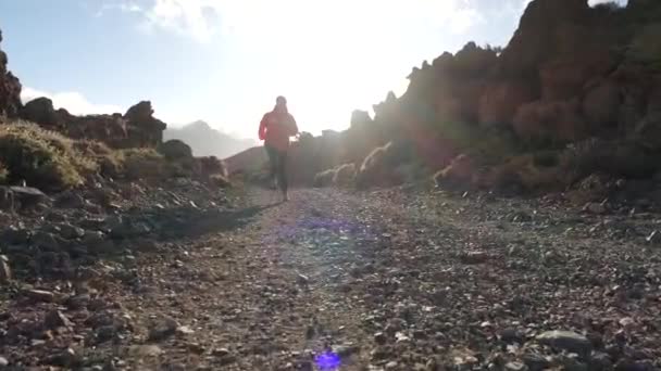 Chica alegre rebotando senderismo en una chaqueta de primavera rosa camina a lo largo de un camino cubierto de pequeñas piedras entre arbustos hinchados contra un fondo de sol brillante y el cielo, el tiroteo posterior por detrás . — Vídeos de Stock