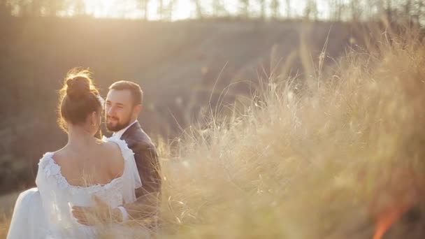 Cute wedding couple is sitting on the yellow grass of a deserted field, communicating and enjoying nature on a sunny day, focusing on the grass. Stylish european bride and groom are resting outside. — Stock Video