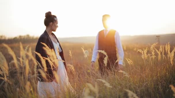Barbuto sposo si avvicina lentamente la sua sposa in un bellissimo abito da sposa bianco e prende la mano nel campo spikelet sullo sfondo del sole splendente luminoso. Gli sposi caucasici camminano nella natura. — Video Stock