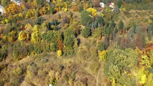 Luchtfoto van prachtig bos buiten de stad met kleurrijke bomen in de herfst, verlicht door de felle zon in Kharkov, Oekraïne. Goede plek voor actieve recreatie met familie en vrienden in de frisse lucht in de natuur. — Stockvideo