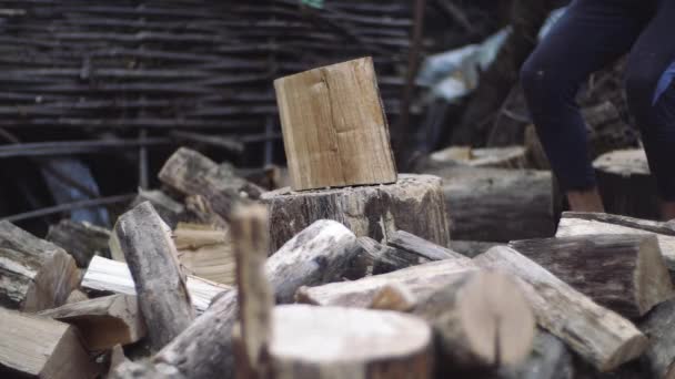 Människan skär träd utomhus i slow motion. Mans händer arbetar med en yxa. Skogshuggare som hugger trädstammar med yxa för ved. Närbild av handgjorda vidrör ett fällt träd ved för vintern — Stockvideo