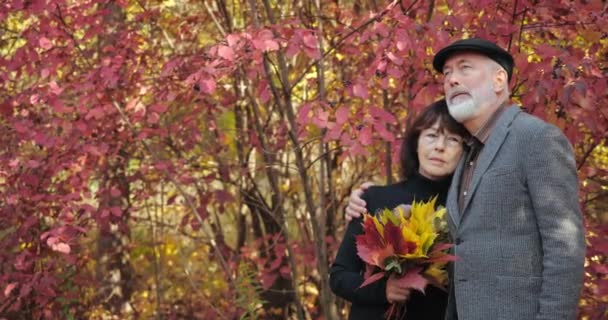 Linda pareja jubilada abrazándose en el parque en el fondo de hermosos arbustos con hojas rojas. El marido barbudo abraza a la esposa triste que sostiene el ramo de hojas otoñales. Paseo romántico en el bosque de la pareja casada — Vídeo de stock