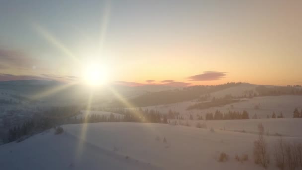 Luchtfoto van boven de prachtige Karpaten bergen en bomen in combinatie met een blauwe lucht in de winter bedekt met sneeuw-witte sneeuw tegen de achtergrond van zonsondergang. Favoriete toeristische bestemmingen — Stockvideo
