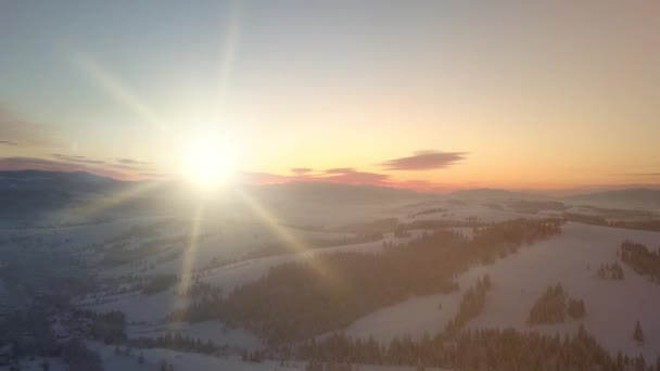 Légi felvétel a Kárpátok területéről a hajnal hátterében. Hóval borított nagy kárpáti erdők. Nagy hegyek Ukrajna, drónra néző. — Stock videók