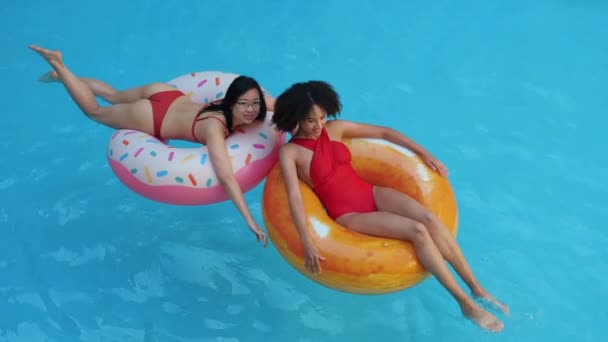 Vacaciones de verano en complejo turístico spa de dos chicas de raza mixta que yacen en anillos inflables, comunicándose juntos en el agua refrescante de la piscina, fin de semana de amistad — Vídeo de stock