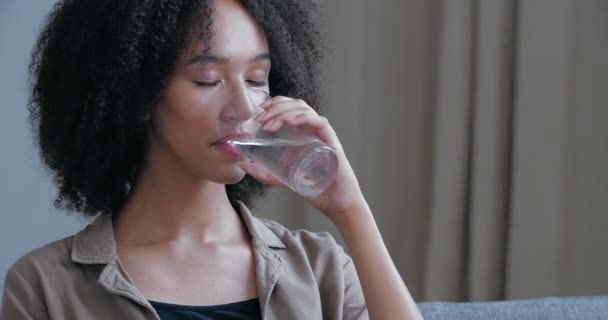 Close up of young African American woman quenches her thirst, holds glass cool warm water, drinks, closes his eyes in pleasure, smiling looks at camera. Attractive curly haired girl freshening up — Stock Video