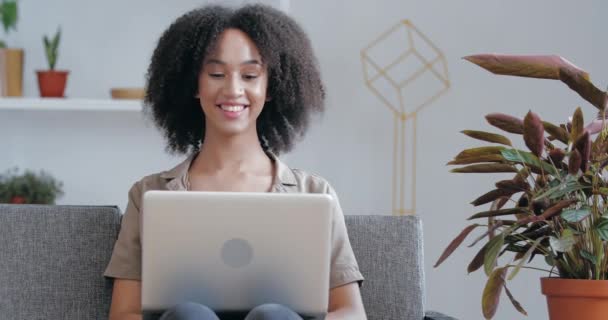 Chica joven africana activa lleva ropa casual, se sienta en casa en la sala de cuarentena, habla en videollamada con amigos de la familia, comunica conferencia en línea con webcam, concepto de tecnologías modernas — Vídeo de stock