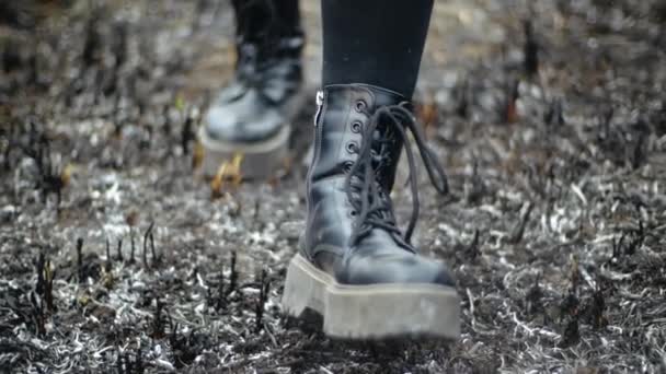 Close-up front shot of walking legs in black stylish boots on burnt grass of field in sunny weather. Woman in leather shoes and leggings steps on ash burned grass after fire. Walk along the ashes. — Stock Video