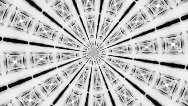 美しいコンピュータグラフィックビデオパターン抽象的な背景白いテクスチャの3D液体ライン。黒い反射で流体。背景アニメーションシームレスサークル4K 、現代の万華鏡の白いトンネル — ストック動画