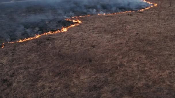 Lesní stepí se šíří divoký oheň. Hrozně velký požár poblíž vesnice. Suchá tráva na poli hoří, ze země stoupá kouř, přírodní katastrofa, dřevo a stromy. — Stock video